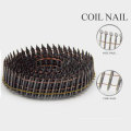 Professional Spiral Concrete Nail Da China